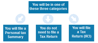 NZ Tax Options